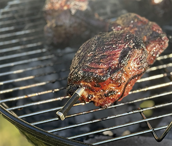 VESTEMP BP20 - Imagen 2